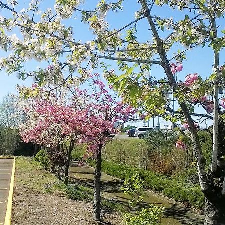 Pepper Tree Inn Beaverton Ngoại thất bức ảnh